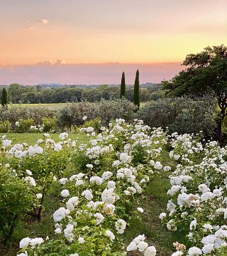 Cata de vinos en el Château Constantin