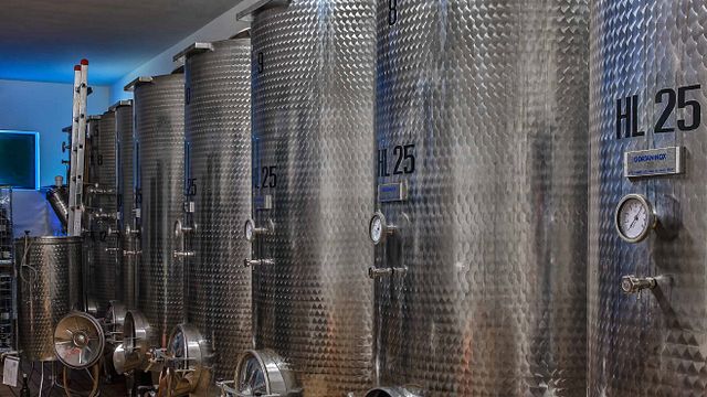 Zorzon Winery