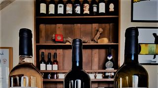 Weinprobe und Tour im Mas Carlot