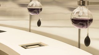 Visita Guiada Centro del Vino Viña Concha y Toro
