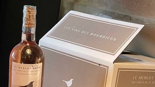 Degustazione di vini e tour allo Château Le Bourdieu