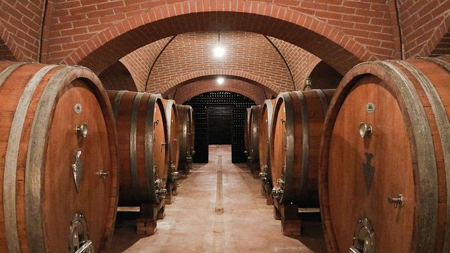 Veneto Wine Artistry at Sandro De Bruno