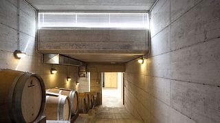 Federico Mencaroni Winery