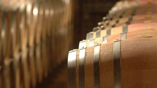 Visita e Degustação de Vinhos