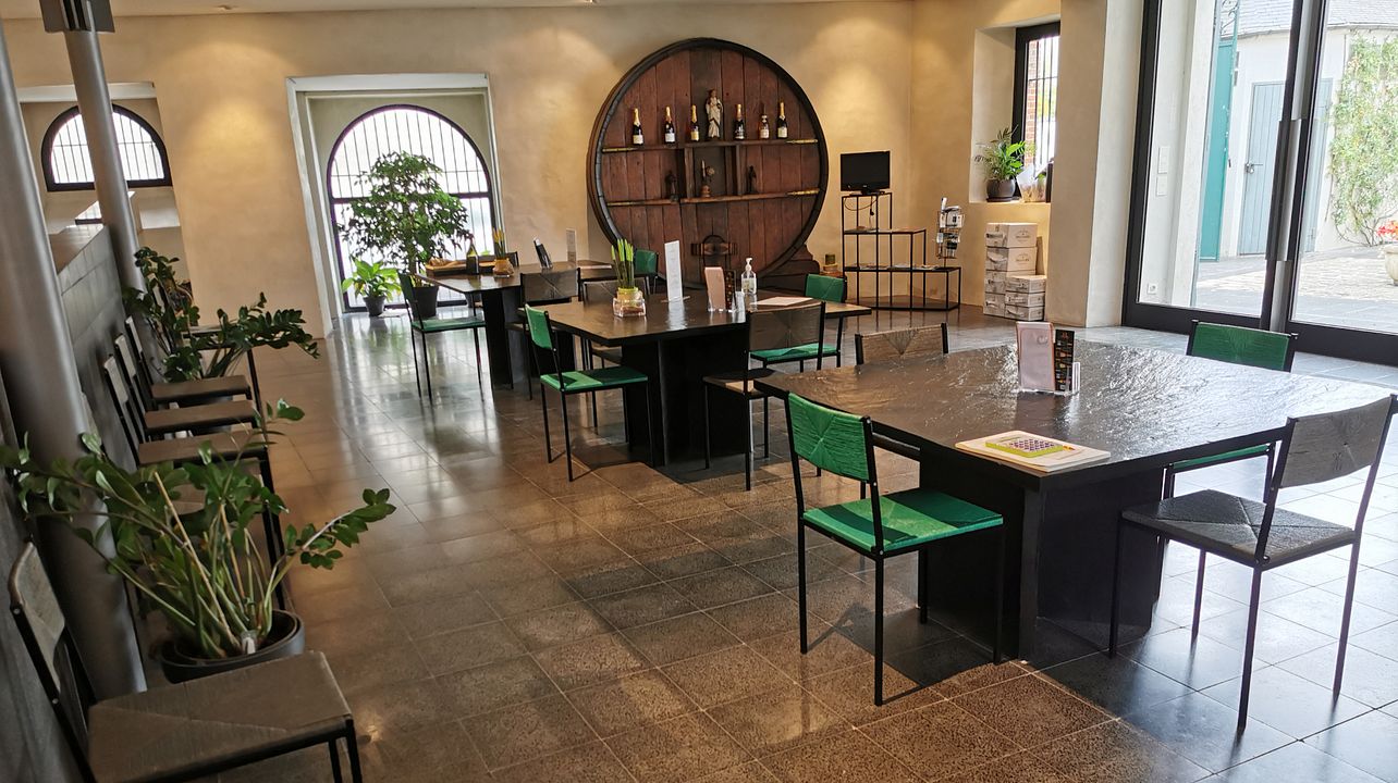 Cata de vinos en Champagne y Hamm et Fils