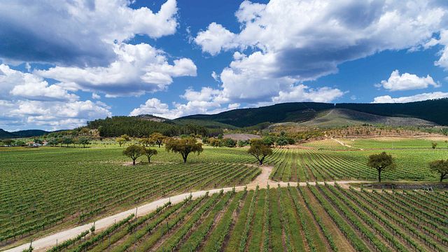 Quinta Da Fonte Souto