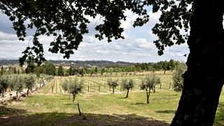 Erstklassige Weinprobe – Pedra Cancela