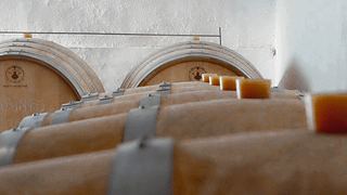 Vini, formaggi, salumi e olive biologici alla Quinta da Boa Esperança