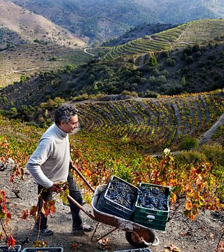 Experimente a paisagem montanhosa do DOQ Priorat