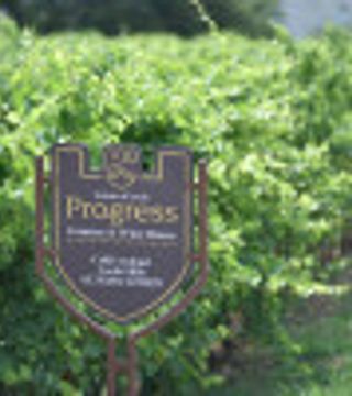 Chic upplevelse på Progress Country Wine House