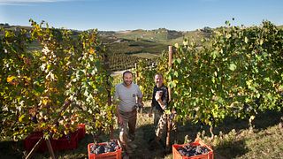 Piedmont Sparkling Wine Tour & Tasting
