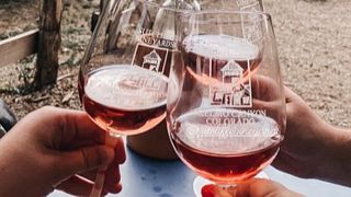 Degustação de vinhos e passeio em Sutcliffe Vineyards