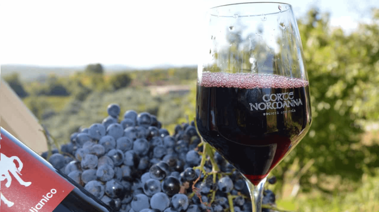 Corte Normanna Agricola