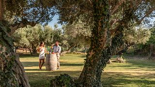 Degustazione di vini 