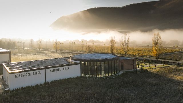 Naberauli Wines