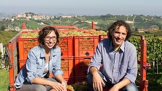 Degustação de vinhos e tour em Gianni Doglia