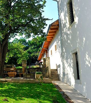 Weinprobe und Führung im Weingut Barta