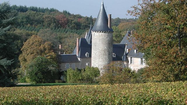 Cata de vinos y visita al Château de Tracy