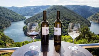 Vigo : Journée au festival du vin ou de la gastronomie