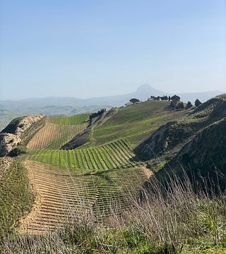 Experiencia de cata de comida y vino en Camporeale 
