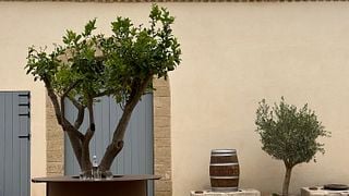 Wine Tasting & Farm-to-table Lunch at the winery from Palermo