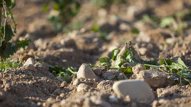 Degustazione di vini e tour a Quinta De Santiago