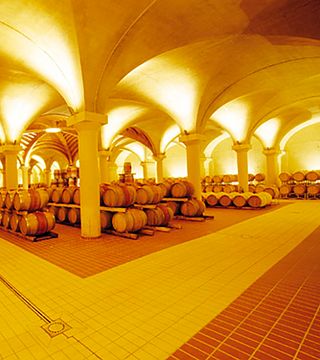 Degustação de vinhos e tour em San Fabiano Calcinaia