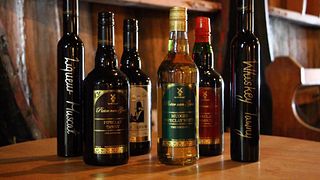 Degustazione di vini e visita alla cantina Pieter Van Gent