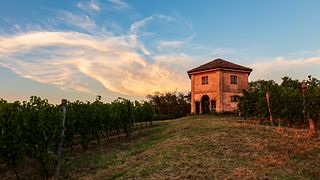 Azienda Agricola Montelio
