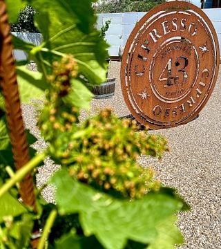 Roberto Cipresso Winery