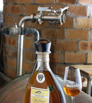 Dégustation de vins et visite du domaine biologique d'Upland