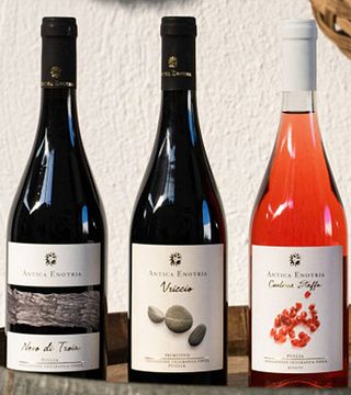 Degustação de vinhos e tour na Antica Enotria