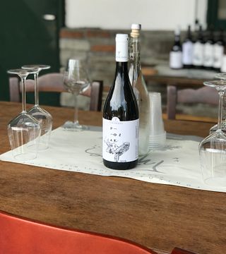 Tour completo de vinhos e degustação na vinícola Tsikrikonis