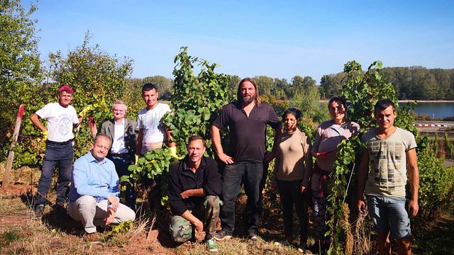 Degustação de vinhos e tour na WE Frank Wines
