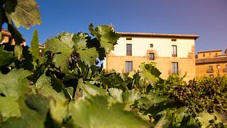 Bodega Miguel Merino Winery