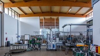 Cata de vinos y visita guiada en Cantine Campana