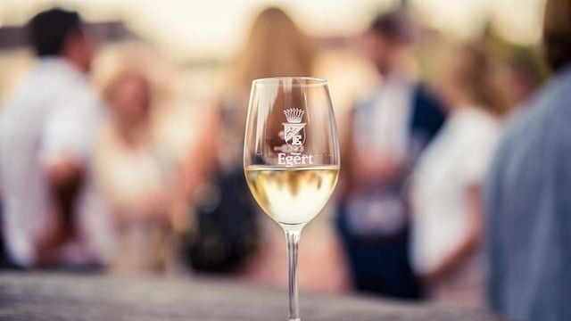 Weinprobe und Führung im Weingut Egert
