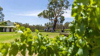 Cellar Door Tasting Experience