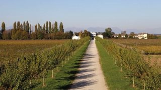 Fossamala Winery