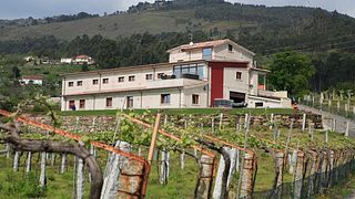 Wine Tasting and Tour at Pazo Pondal Winery