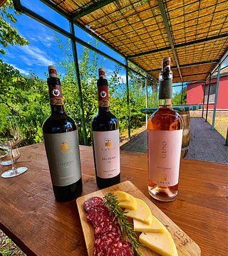 Degustação de vinhos ao ar livre ou na adega, dependendo do clima. Experiência com Chianti Classico, Supertoscanos e Rosé.