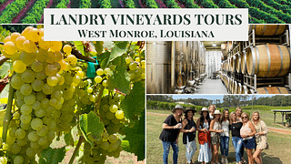 Landry Vineyards