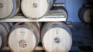 Raiz orgânica para barril para garrafa em Conti di San Bonifacio
