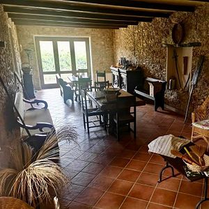 Wein- und Olivenölverkostung und Führung im Tenute Pacelli