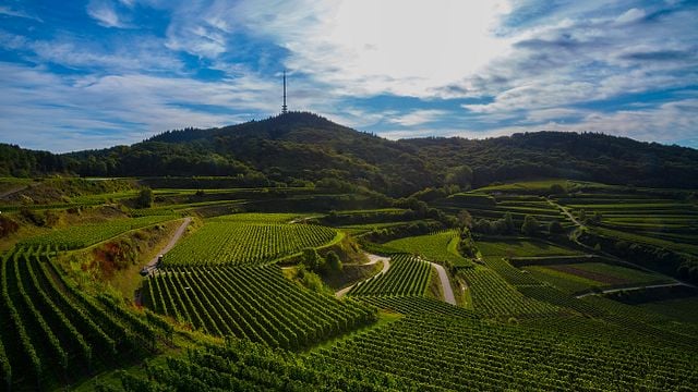 Bickensohler Weinvogtei