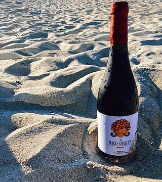 Cata y visita de vinos en Bodega Encima Wines