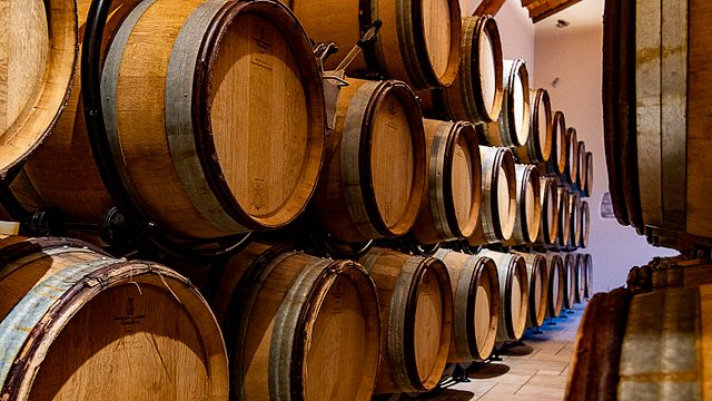 Degustazione e visita del vino al Domaine Luquet dal 1878