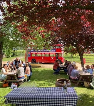 Vintage Bus Wine Tour of Sussex Vineyards