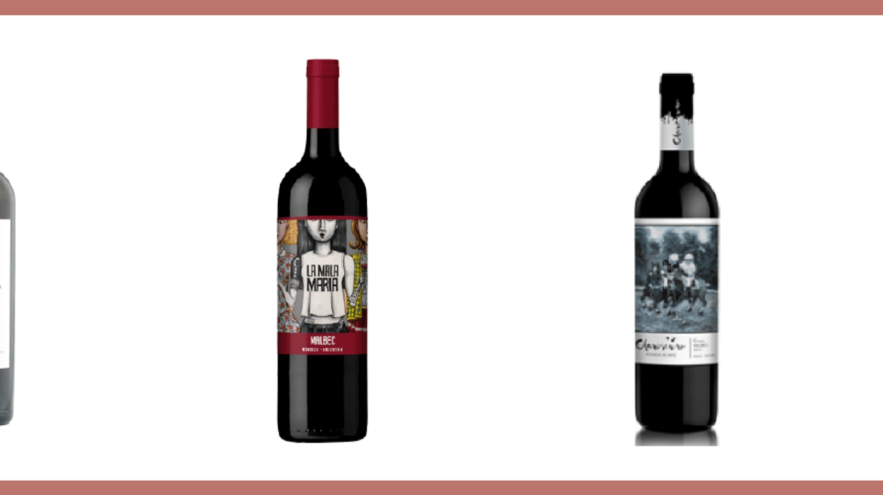 Dégustation et visite de vins haut de gamme chez Intervino