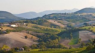 Cimarelli Winery